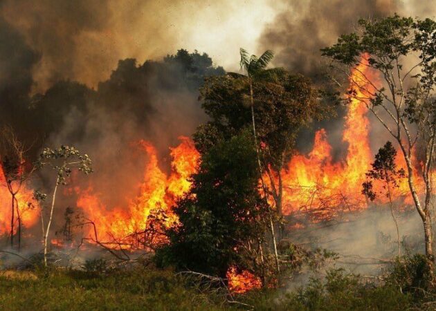 Stato di emergenza in Guatemala per incendi